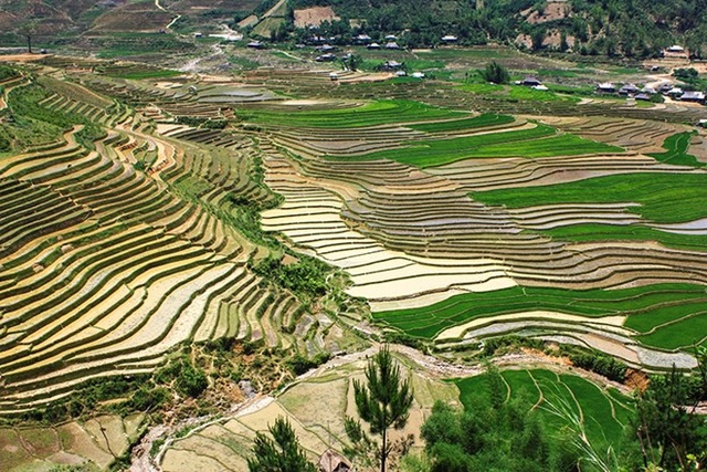 Mù Cang Chải đẹp như tranh vẽ vào mùa những con nước đổ ải - 4 Với khoảng 3-4 ngày là bạn có thể thoải mái khám phá Mù Cang Chải.