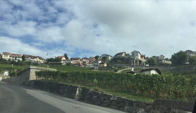 Thăm Lavaux - vùng trồng nho được công nhận Di sản thế giới - 2 Những ruộng nho quanh các làng.