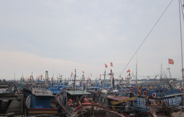 Động viên ngư dân bám biển trước lệnh cấm đánh bắt đơn phương của Trung Quốc - 1 Thanh Hóa khuyến khích, động viên ngư dân vươn khơi, bám biển