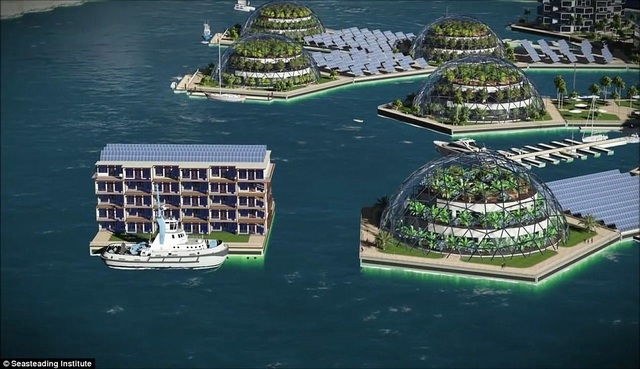 Quốc gia "nổi trên mặt nước" đầu tiên của thế giới sẽ xuất hiện ở Thái Bình Dương - 4 Quốc gia "nổi trên mặt nước" đầu tiên của thế giới sẽ xuất hiện ở Thái Bình Dương - 4