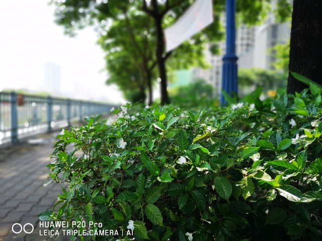 Huawei P20 Pro - Tái định nghĩa camera phone - 11 Ảnh chụp ban đêm trên Huawei P20 Pro có bị giảm chi tiết so với ban ngày, nhưng không quá nhiều, tốc độ lấy nét vẫn rất nhanh. Tuy nhiên để có được những bức ảnh chất lượng, người dùng nên giữ chắc tay.