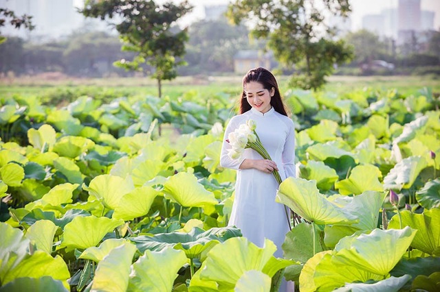 Ngắm thiếu nữ Hải Dương duyên dáng bên hồ sen đầu mùa - 11 Ngắm thiếu nữ Hải Dương duyên dáng bên hồ sen đầu mùa - 11