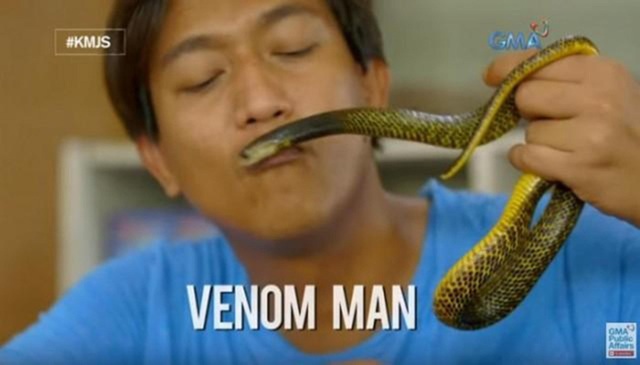 Cho rắn độc cắn hàng tuần để tăng cường miễn dịch - 1 Quililan thú nhận mình vô cùng yêu quý loài rắn