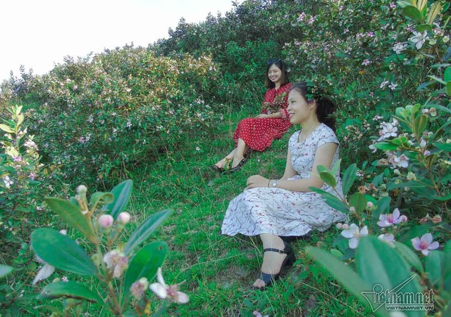 Đồi sim tím lịm bậc nhất xứ Nghệ: Dân teen đổ xô 'seo phì' giữa nắng - 10 Lặng lẽ bên đồi sim tím