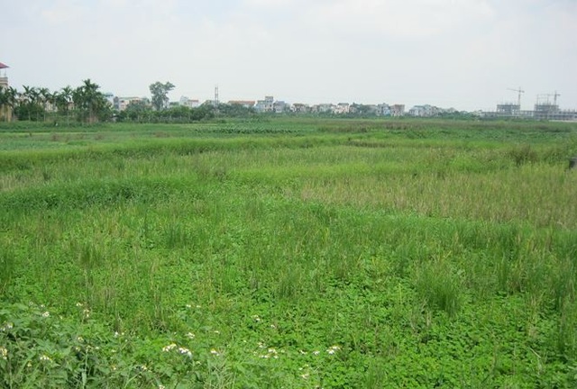 Hà Nội sắp đấu giá đất cả nghìn dự án, thu về hơn 53 nghìn tỷ đồng - 1
Tổng số tiền dự kiến thu về từ đấu giá đất của Hà Nội khoảng hơn 53 nghìn tỷ đồng.