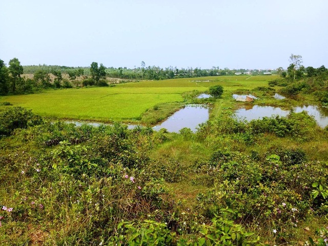 Nhà máy cao lanh “bức tử” khe suối, hồ đập và “nuốt” vườn tược của dân! - 9 Người dân nơi đây đang rất lo lắng rồi một ngày không xa hồ Bàu Cúi sẽ không còn cung cấp đủ nước tưới tiêu cho ruộng đồng của bà con