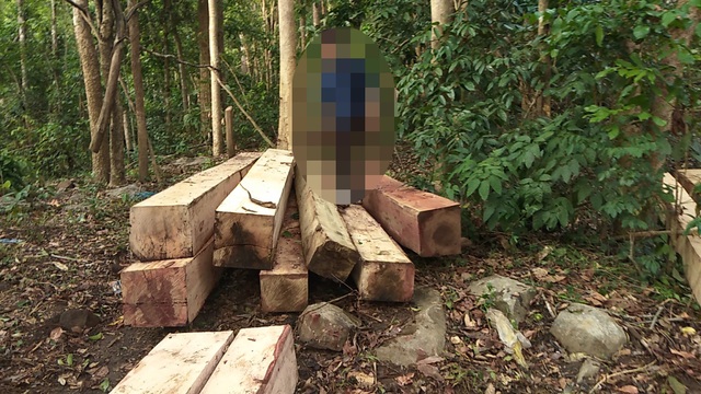 Vụ lâm tặc khai thác gỗ khủng: “Hàng tuần họp đều báo cáo rừng không bị xâm hại” - 3 Nhiều điểm tập kết gỗ được xẻ hộp nằm dọc đường đi