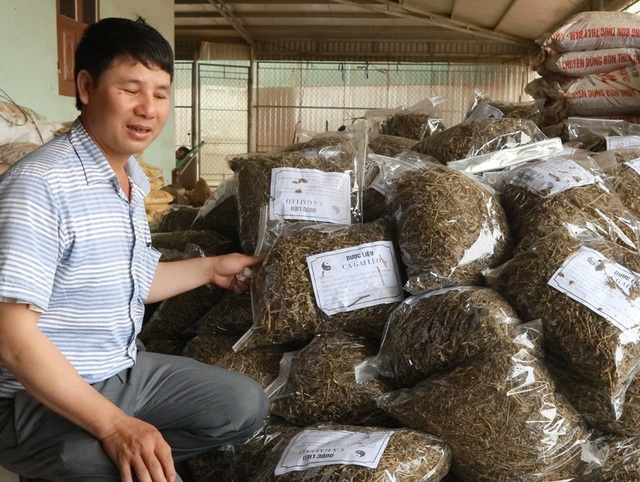 Trở thành tỷ phú nhờ ...cây sachi và cà gai leo - 1
Anh Trần Sỹ Út thành công với mô hình kinh tế tổng hợp