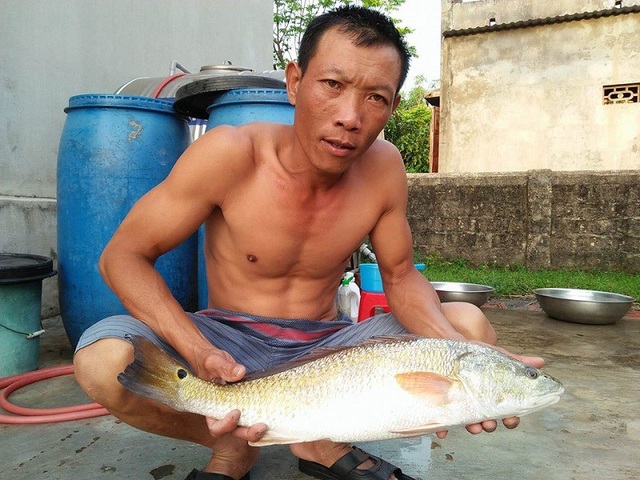 Ngư dân bắt được cá nghi là sủ vàng quý hiếm - 1
Con cá nghi là cá sủ vàng do ngư dân Lê Văn Sử bắt được
