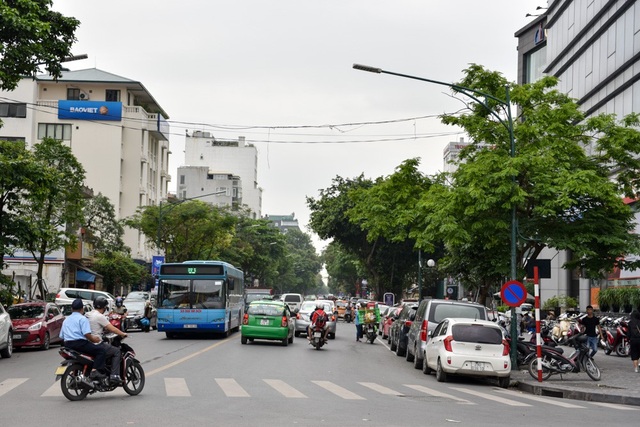 Hà Nội: Loạt cây sưa quý chuẩn bị di dời để làm đường sắt đô thị - 1
Để lấy mặt bằng thi công ga ngầm S10 - Cát Linh và S12 - Trần Hưng Đạo thuộc tuyến đường sắt đô thị Hà Nội đoạn Nhổn - ga Hà Nội, Ban Quản lý Đường sát Đô thị Hà Nội (MRB) đã lên kế hoạch chặt hạ và đánh chuyển 157 cây xanh các loại trên vỉa hè phố Trần Hưng Đạo và Cát Linh.