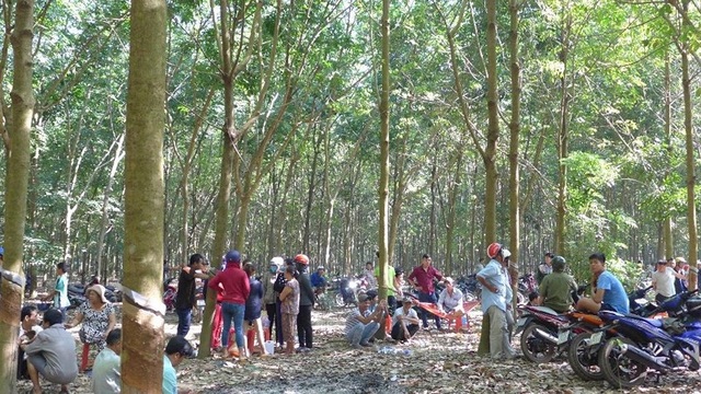 Nhóm thanh niên chích điện, cắt tai con nợ - 1 Nhóm thanh niên chích điện, cắt tai con nợ - 1