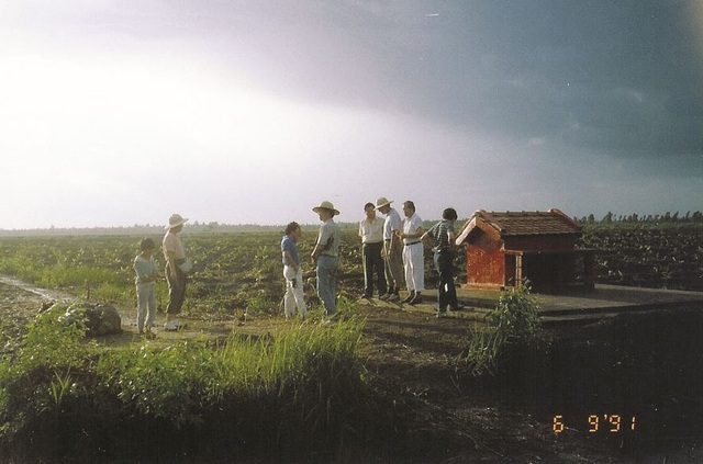 Nam Sài Gòn “thay da đổi thịt” sau 43 năm giải phóng - 8 Những cánh đồng rau trong ngày doanh nghiệp đến khảo sát