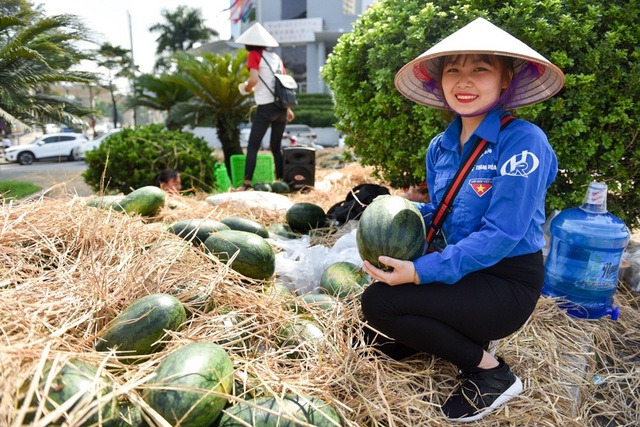 Nhóm sinh viên Hà Nội "giải cứu" dưa hấu ế giúp nông dân Quảng Ngãi - 3
Dưa hấu vận chuyển ra là giống hắc mỹ nhân, quả dài, vỏ xanh đen sọc mờ.
