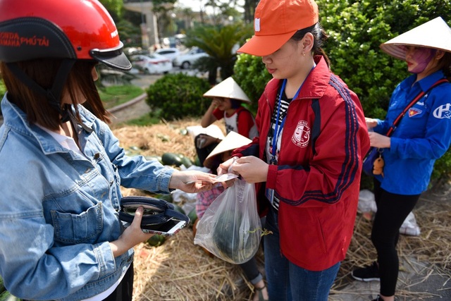 Nhóm sinh viên Hà Nội "giải cứu" dưa hấu ế giúp nông dân Quảng Ngãi - 4 Nhóm sinh viên Hà Nội "giải cứu" dưa hấu ế giúp nông dân Quảng Ngãi - 4