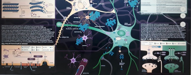 Bệnh Alzheimer: Chẩn càng sớm, trị càng hiệu quả! - 1 Bệnh Alzheimer: Chẩn càng sớm, trị càng hiệu quả! - 1