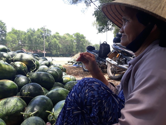 Quảng Ngãi: Dưa hấu chất đống ven đường chờ giải cứu - 3 Bà Lê Thị Đào bó gối nhìn đống dưa hấu chưa có người mua