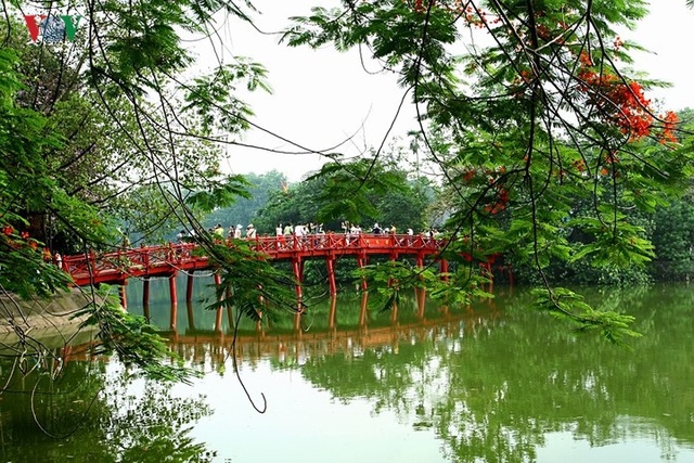 Hoa phượng thắp lửa bên Hồ Gươm - 8 Hoa phượng thắp lửa bên Hồ Gươm - 8