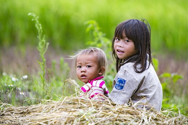 Ảnh đẹp trẻ em vùng cao: Hồn nhiên ánh mắt trong veo nụ cười - 8 Ảnh đẹp trẻ em vùng cao: Hồn nhiên ánh mắt trong veo nụ cười - 8