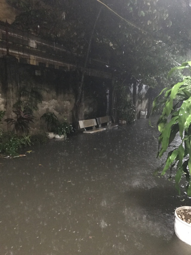 
Hễ trời mưa là cả dãy phố như một con kênh đầy nước, nước mưa, nước cống đùn lên gây mùi hôi thối nồng nặc sộc vào nhà dân, chỗ ngập sâu nhất đến 70cm.
