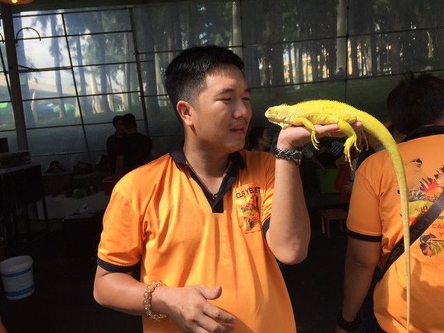 Bỏ trăm triệu mua đại bàng, cự đà làm thú cưng - 1 Con kỳ đà màu vàng được cho là vô giá