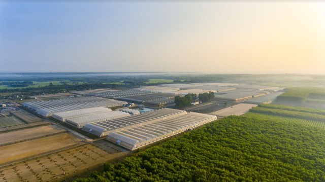 “Hành trình tương lai xanh” cùng VinMart & VinMart+ - 2 Công ty VinEco đang vận hành 15 nông trường công nghệ cao quy mô lớn trên cả nước.