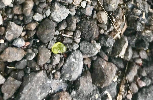 Đang đi đường thấy mưa đá quý ào ào rớt xuống - 1
Giá thành của đá olivin chất lượng cao là khoảng 450 USD cho mỗi carat.