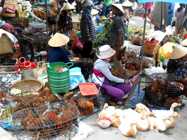 Trái cây, bánh ú, lá mùng 5... hút hàng Tết Đoan Ngọ - 5 Giá cả các mặt hàng gà, vịt, thịt heo… cũng tăng giá nhẹ hoặc ổn định