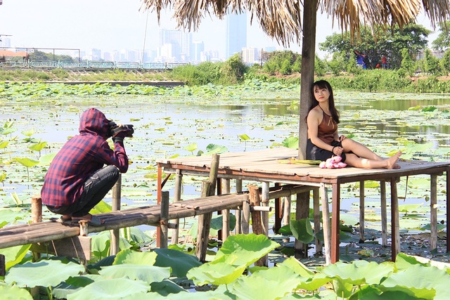 Kiếm bạc triệu từ những dịch vụ "ăn theo" mùa sen - 7 Nhiều phó nháy chia sẻ, để kiếm được tiền triệu mỗi ngày họ phải lao động liên tục, vất vả từ sáng cho đến tối, bất chấp nắng, gió.
