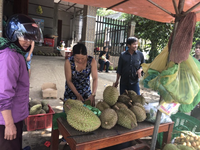Về thủ phủ sầu riêng tại Lâm Đồng ăn sầu riêng miễn phí - 4 Nhiều người mua rất hào hứng vì được ăn sầu riêng xả láng, đem bán hạt thì được gần giá trị mua ban đầu