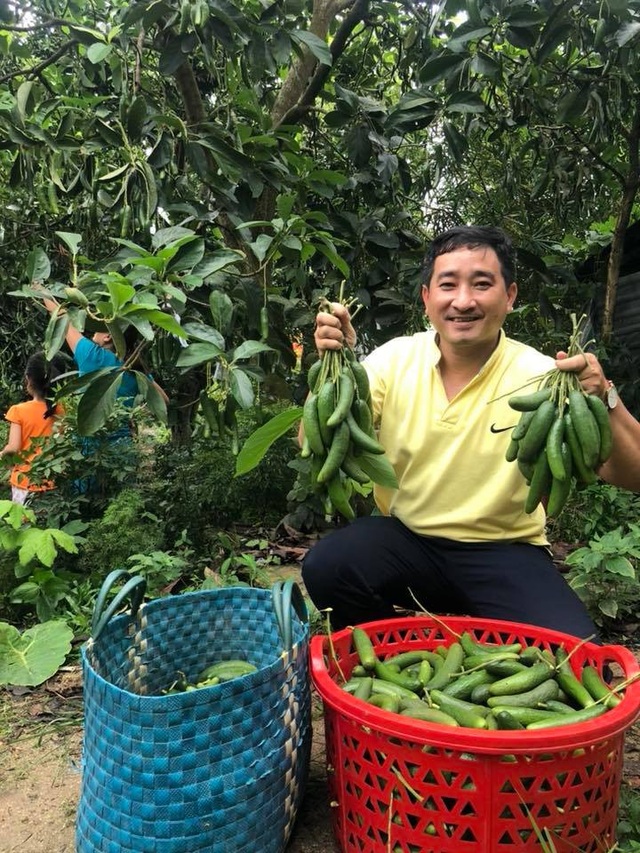 Hổ mang bạch tạng dài 2 mét, giá 200 triệu đồng hiếm nhất Việt Nam - 2
Loại bơ tí hon không hạt này đang được người tiêu dùng tranh nhau mua vì hiếu kỳ