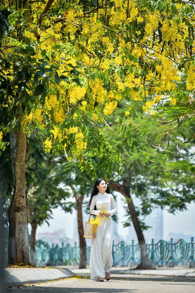 "Hot girl tráng bánh mướt" xứ Nghệ đẹp dịu dàng dưới tán hoàng yến - 11 "Hot girl tráng bánh mướt" xứ Nghệ đẹp dịu dàng dưới tán hoàng yến - 11