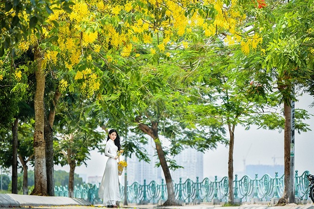 "Hot girl tráng bánh mướt" xứ Nghệ đẹp dịu dàng dưới tán hoàng yến - 10 "Hot girl tráng bánh mướt" xứ Nghệ đẹp dịu dàng dưới tán hoàng yến - 10