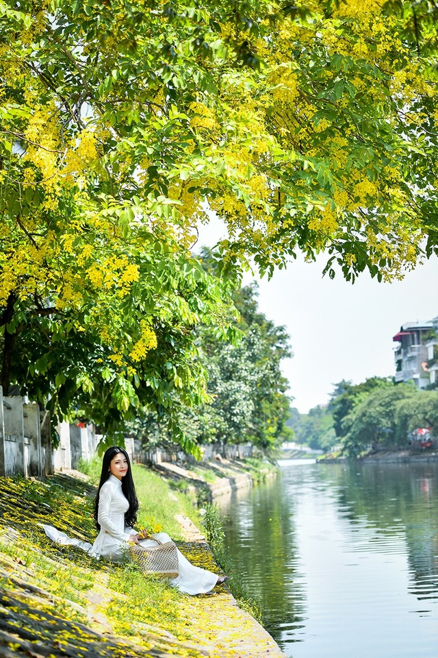 "Hot girl tráng bánh mướt" xứ Nghệ đẹp dịu dàng dưới tán hoàng yến - 8 "Hot girl tráng bánh mướt" xứ Nghệ đẹp dịu dàng dưới tán hoàng yến - 8