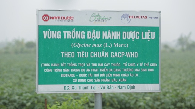 Đậu nành dược liệu - Khái niệm mới về dược liệu sạch người tiêu dùng cần biết - 7
Biotrade EU - Dự án Thương mại Sinh học của Liên minh châu Âu lựa chọn Nam Dược để tài trợ xây dựng vùng trồng đậu nành dược liệu