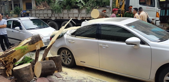 Hà Nội: Xe Lexus bất ngờ bị cây đổ đè bẹp trên phố - 5 Hà Nội: Xe Lexus bất ngờ bị cây đổ đè bẹp trên phố - 5
