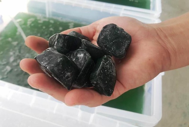 Ninh Bình: Thầy giáo dạy toán kiếm chục triệu mỗi tháng từ nghề… “tay trái” - 6 Tảo thần kỳ sau khi thu hoạch đóng thành viên có giá 1 triệu đồng/kg.