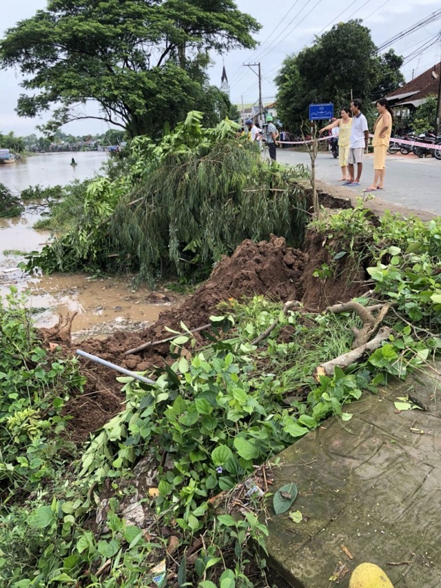Thêm vụ sạt lở nghiêm trọng đe dọa tỉnh lộ 946 - 1
Vụ sạt lở không gây thiệt hại về người và tài sản vì đoạn bờ sông này không có người dân sinh sống (ảnh CTV)