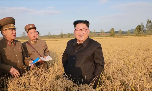Kinh tế Triều Tiên “thay da đổi thịt” dưới thời ông Kim Jong-un - 1 Nhà lãnh đạo Kim Jong-un đi thăm nông trại tại Triều Tiên (Ảnh: AFP)
