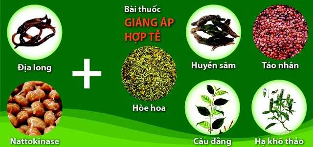 4 thói quen hàng ngày đẩy người cao huyết áp đến gần đột quỵ - 4
Giải pháp toàn diện cho người bệnh huyết áp cao