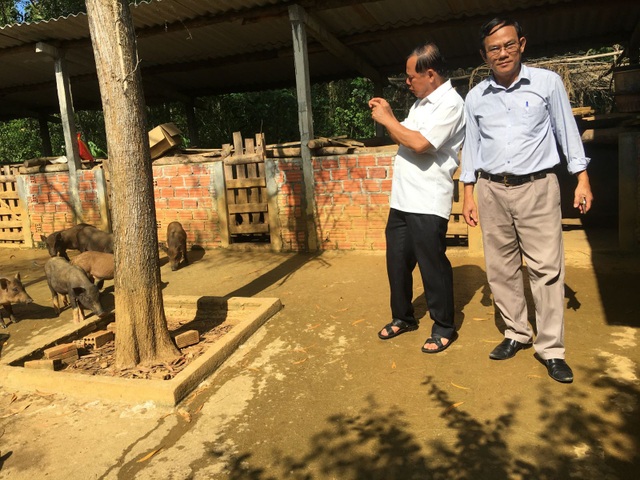 “Lão khùng” đại gia khởi nghiệp thành công với hai bàn tay trắng - 3 Đàn heo rừng đông như quân Nguyên nghe hơi lão Trần Tiến là từ ngoài rừng tràn về