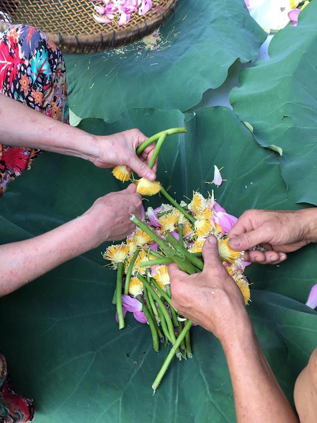 Mùa sen Hà thành - gánh hàng rong kiếm tiền triệu mỗi ngày nhờ thú chơi tao nhã - 11 Mùa sen Hà thành - gánh hàng rong kiếm tiền triệu mỗi ngày nhờ thú chơi tao nhã - 11