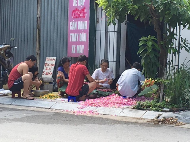 Mùa sen Hà thành - gánh hàng rong kiếm tiền triệu mỗi ngày nhờ thú chơi tao nhã - 12 Mùa sen Hà thành - gánh hàng rong kiếm tiền triệu mỗi ngày nhờ thú chơi tao nhã - 12
