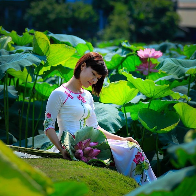 Mùa sen Hà thành - gánh hàng rong kiếm tiền triệu mỗi ngày nhờ thú chơi tao nhã - 7 Mùa sen Hà thành - gánh hàng rong kiếm tiền triệu mỗi ngày nhờ thú chơi tao nhã - 7