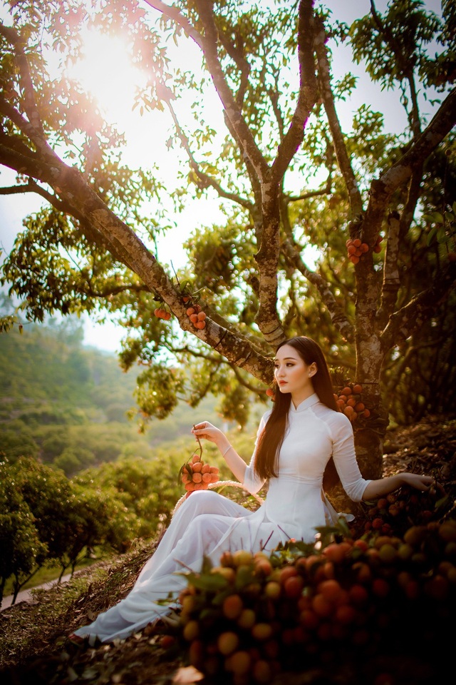 Cô gái sở hữu hai bằng ĐH loại giỏi khoe sắc bên vườn vải - 22 Cô gái sở hữu hai bằng ĐH loại giỏi khoe sắc bên vườn vải - 22
