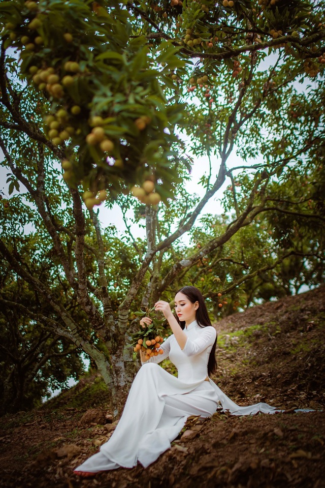 Cô gái sở hữu hai bằng ĐH loại giỏi khoe sắc bên vườn vải - 7 Cô gái sở hữu hai bằng ĐH loại giỏi khoe sắc bên vườn vải - 7