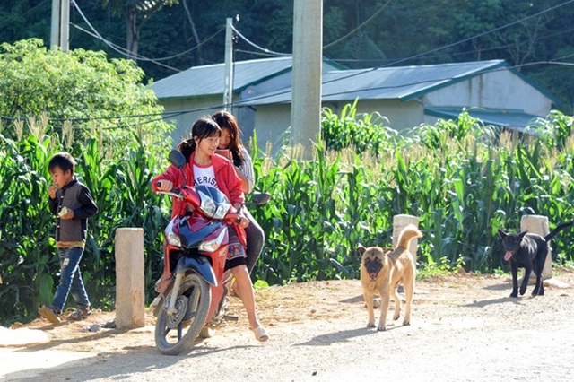 Bản Tà Dê sau cơn "bão lửa" - 6 Bản Tà Dê nằm ở thung lũng, bao quanh là rừng núi trùng điệp, và cũng là nơi giáp ranh với điểm nóng ma túy Hang Kia, Pà Cò thuộc tỉnh Hoà Bình.