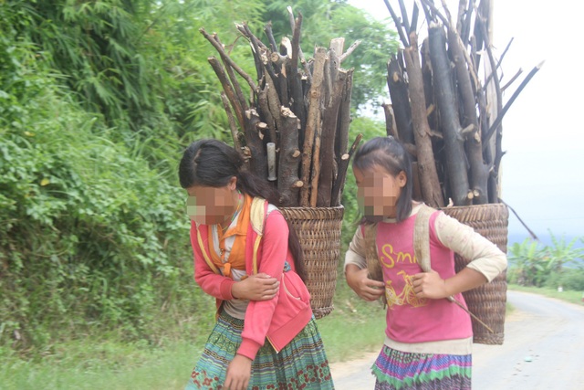 Nhiều trẻ em bị dụ dỗ, ép "lao động khổ sai" ở TPHCM - 2
Nhiều em được chính quyền địa phương phối hợp với gia đình xuống tận nơi đưa về