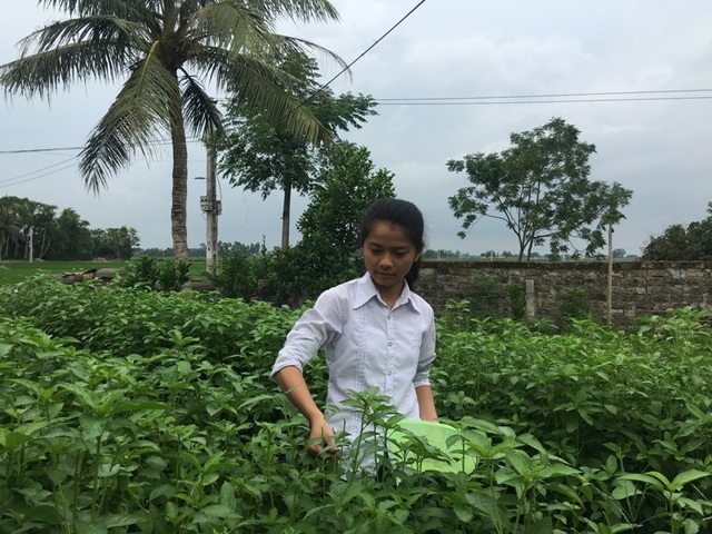 Mồ côi bố, mẹ bị ung thư, nữ sinh Thanh Hóa vẫn giành 27,05 điểm khối A - 3 Thương luôn giúp đỡ mẹ những công việc trong gia đình