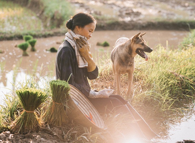 Từ một cuộc điện thoại hỏi mẹ đang ở đâu, biết mẹ đang cấy lúa nên Hùng đã từ Hà Nội về Thái Nguyên để ghi lại cho mẹ những hình ảnh đẹp đẽ nhất.