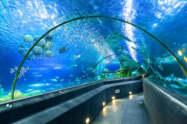 Những kỷ lục độc nhất vô nhị tại thiên đường giải trí lớn nhất Nha Trang - 9 Những kỷ lục độc nhất vô nhị tại thiên đường giải trí lớn nhất Nha Trang - 9